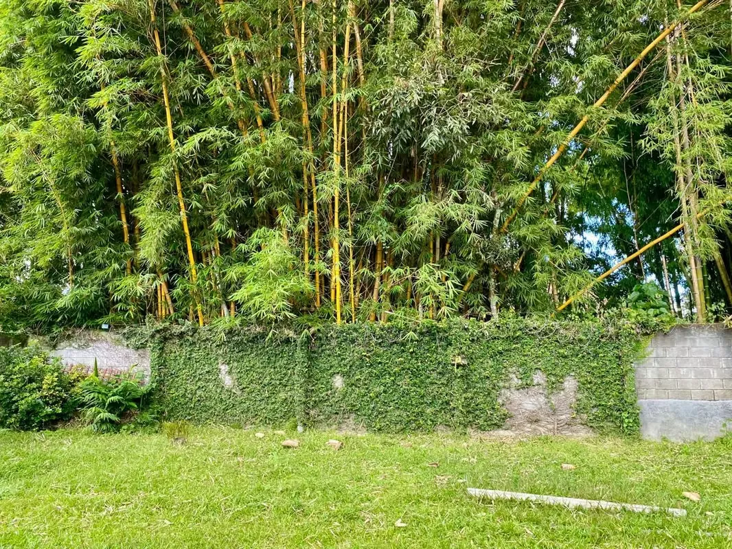 RESIDENTIAL GUAYABOS HOUSE RENT