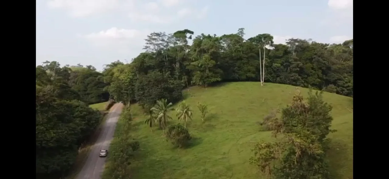 LAND FOR SALE, IN HEREDIA, SARAPIQUÍ. 36-297