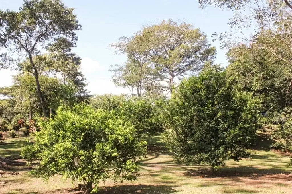 Se vende hermosa propiedad de 25.000 m² (2.5 hectáreas) ubicada en San Pedro de Turrubares, San José, en un ... — photo 2
