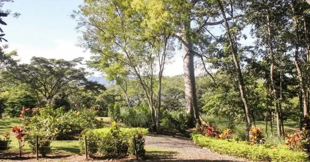 Se vende hermosa propiedad de 25.000 m² (2.5 hectáreas) ubicada en San Pedro de Turrubares, San José, en un ... — photo 3
