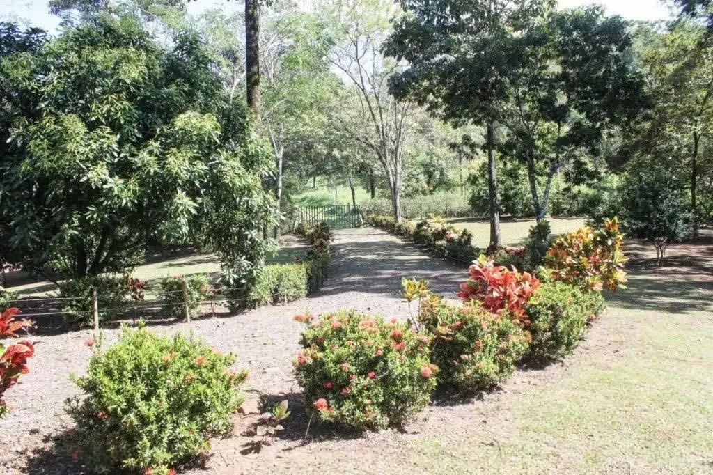 Se vende hermosa propiedad de 25.000 m² (2.5 hectáreas) ubicada en San Pedro de Turrubares, San José, en un ... — photo 4