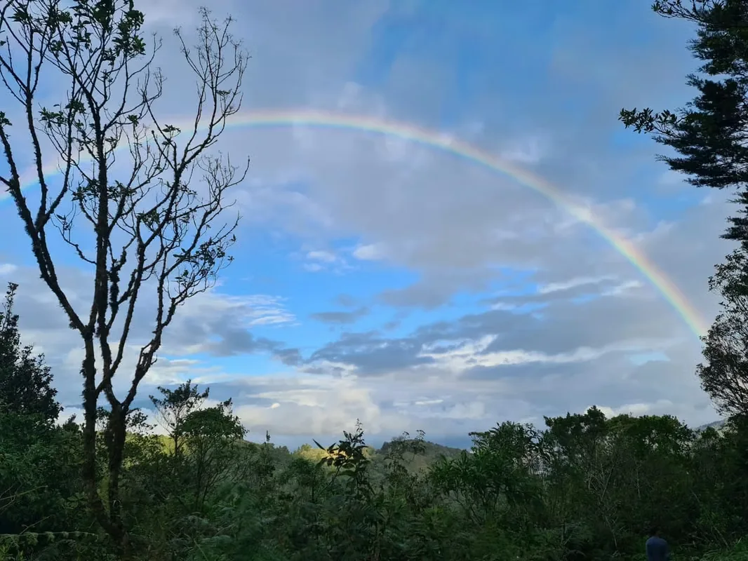 LAND FOR SALE IN CARTAGO. 36-169-0062