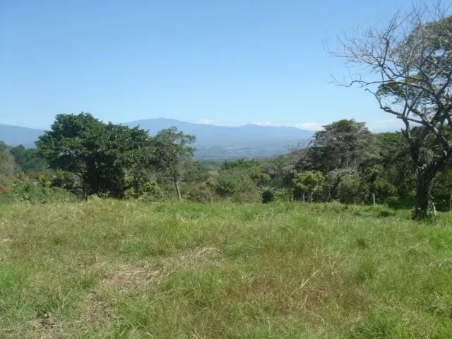 LAND FOR SALE IN SABANA LARGA, ATENAS. 36-286-75