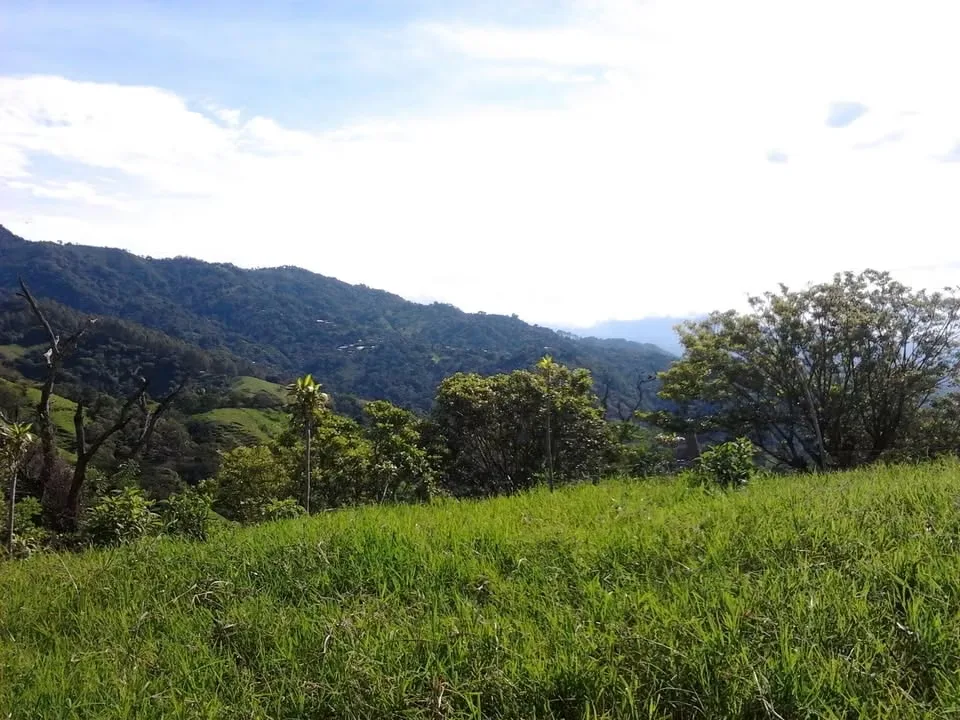LAND FOR SALE IN CARRIZAL. 36-286-76