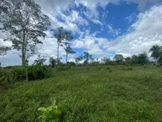 Área de terreno según plano: 573.499 metros cuadrados (57,35 ...