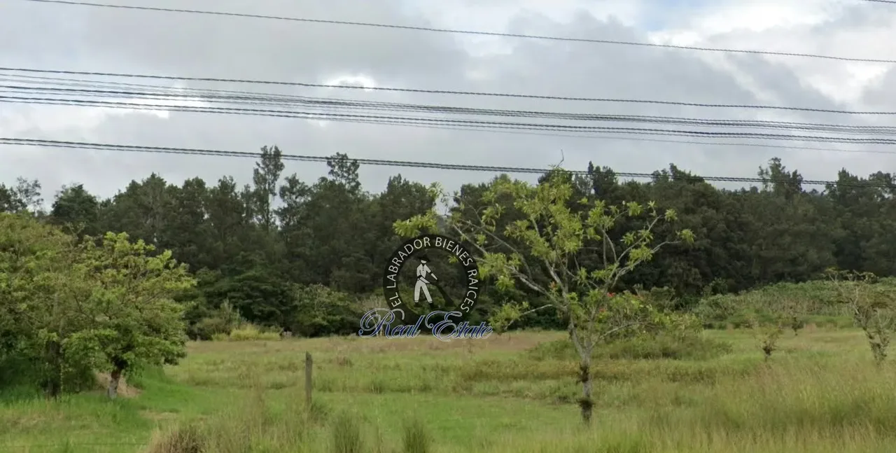 Se venden Lotes Comerciales en Cartago (Varios Disponibles), frente a la carretera Interamericana Sur.