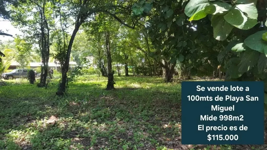 Lote a 100mts de Playa San Miguel — photo 3