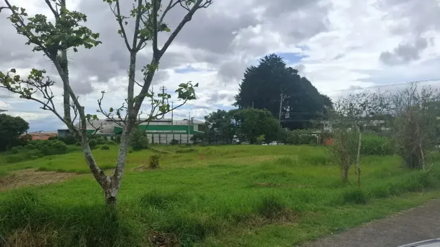 Land for sale in Sabanilla 18219