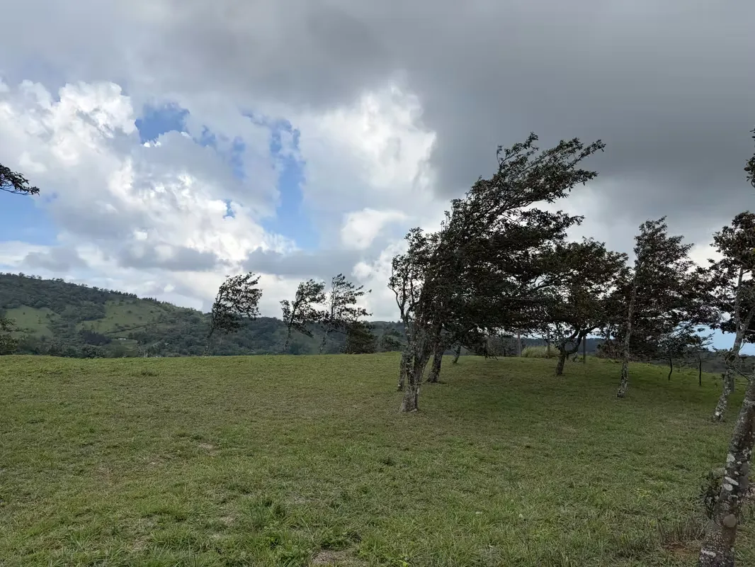 Lote en Venta - Montañas de San Ramon.