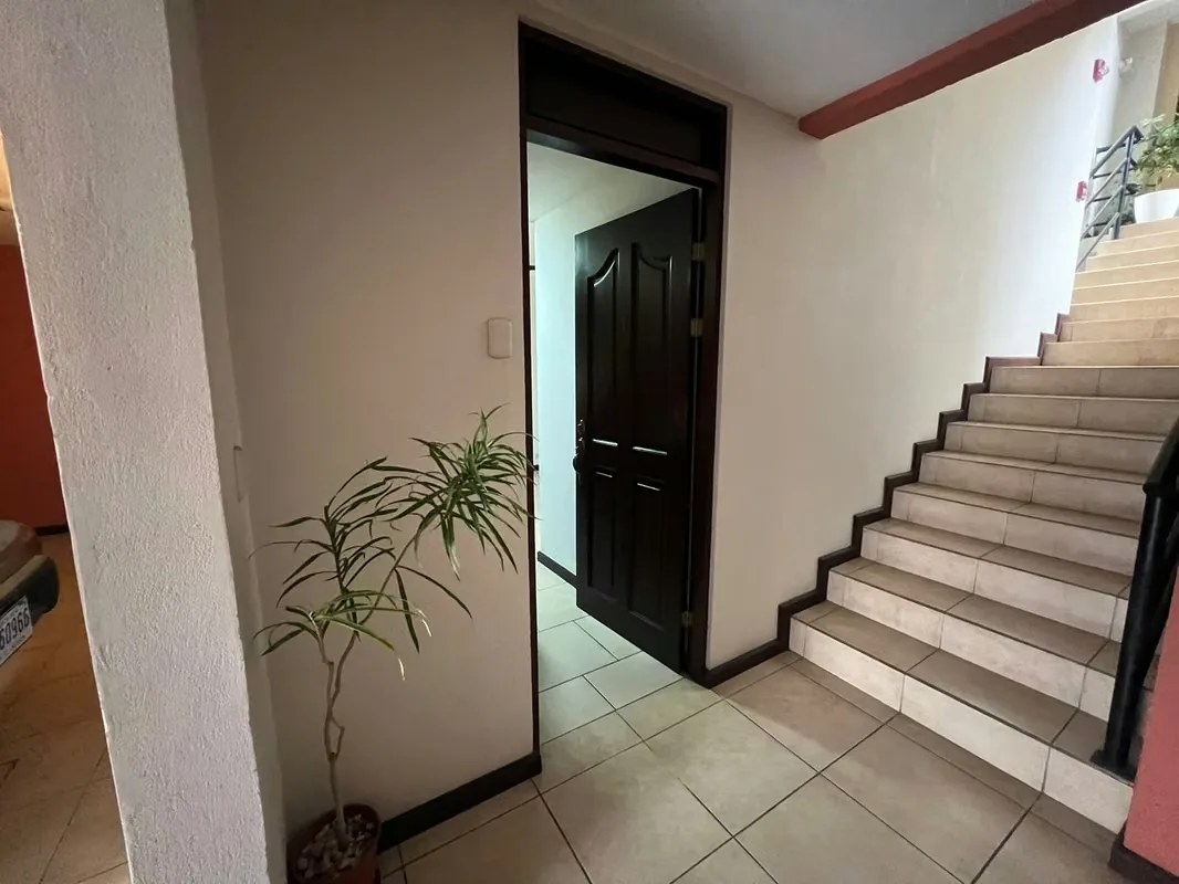 Apartment rental studio San Pedro — photo 3