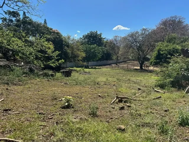 Lot for Sale in Alajuela, La Guácima 7,341 m² High-Density Land