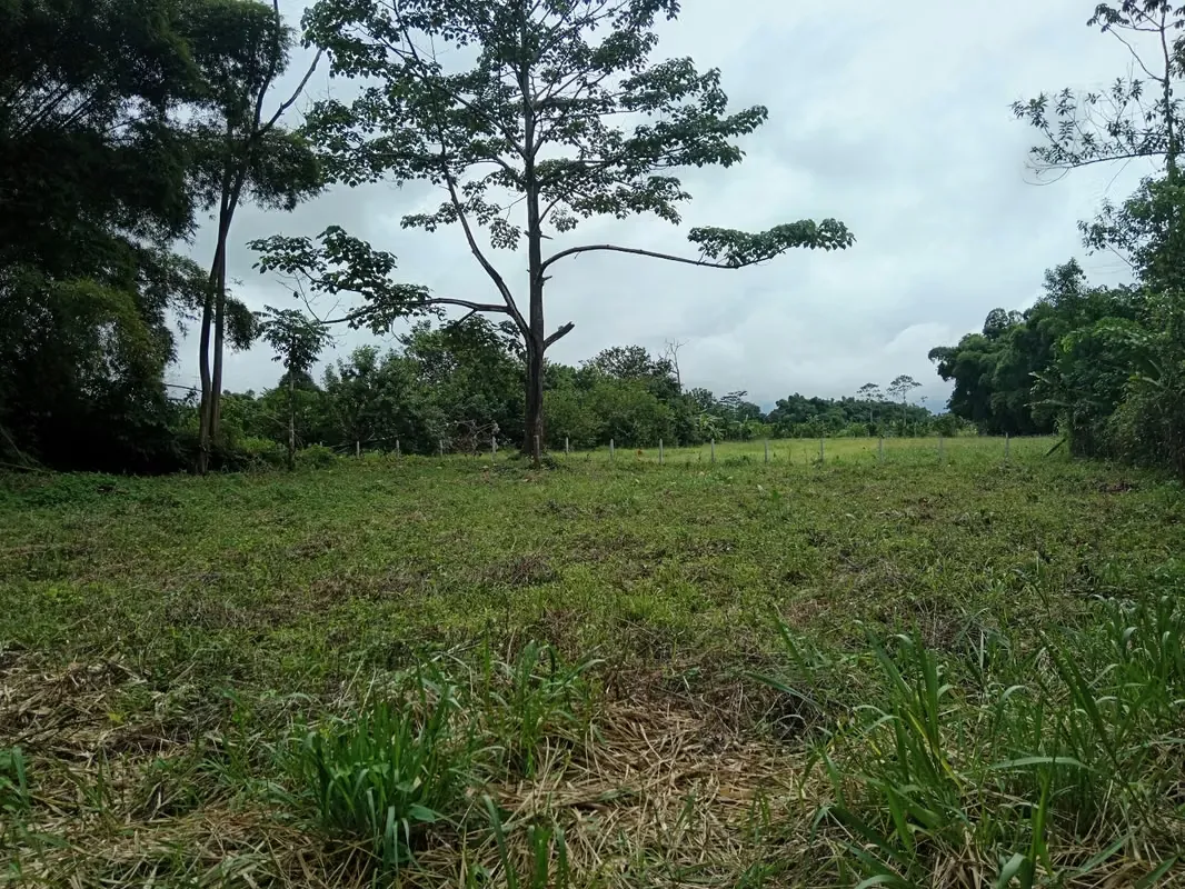 MA Asesoría vende hermosa Quinta en Horquetas de Sarapiquí, Heredia