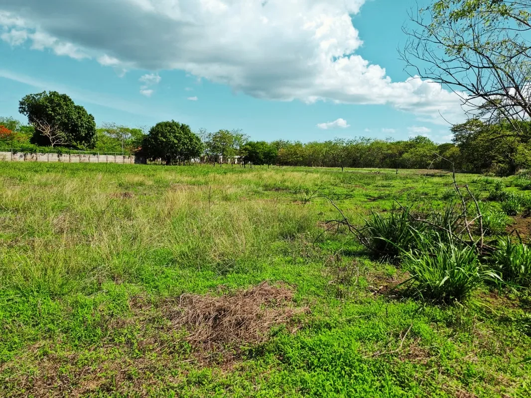 Commercial lot for sale facing Route 1, Liberia, Guanacaste — photo 5