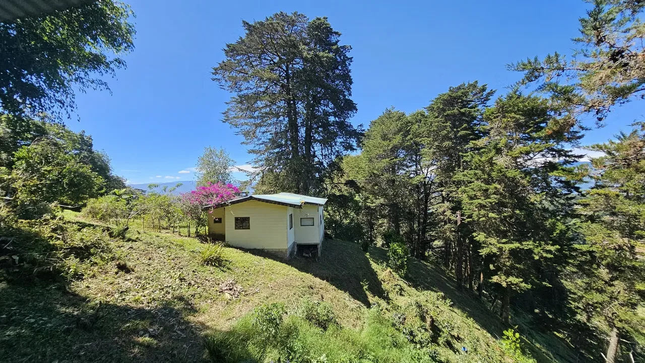 Descubra esta hermosa propiedad ubicada en una de las zonas más exclusivas y tranquilas de Tarbaca, muy cerca del Hotel Alta Vista. Un entorno rodeado de naturaleza, aire fresco y ...