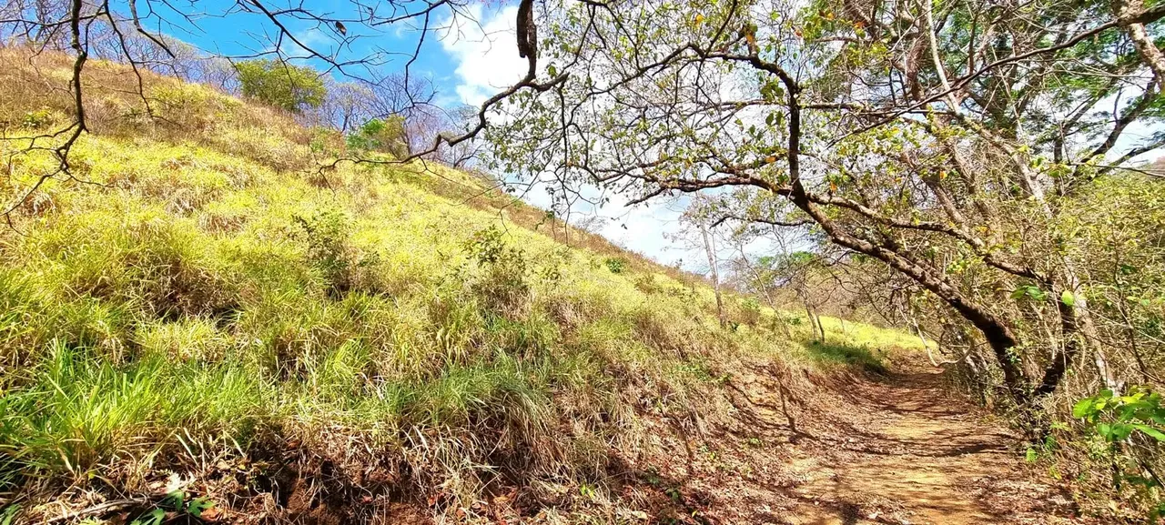 Land for sale in Guanacaste, Nicoya. ATTENTION INVESTORS