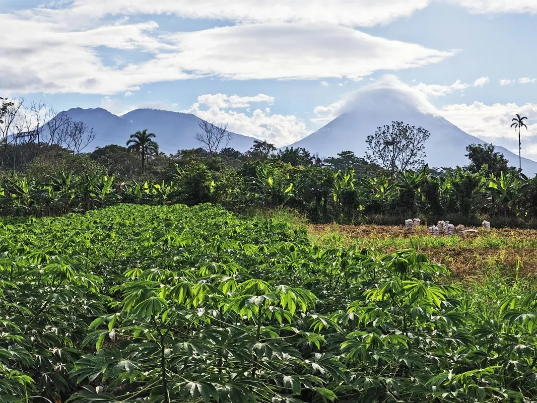 Propiedad para inversión en La Fortuna
