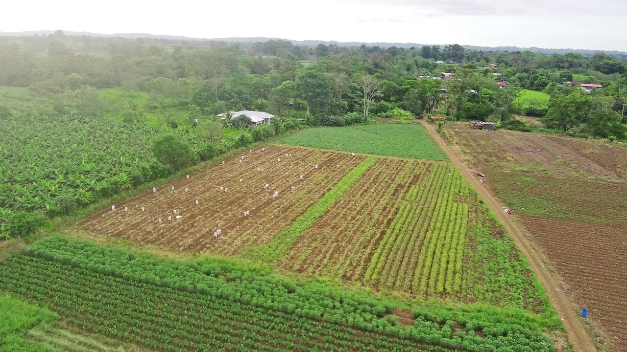 Located just 10 minutes from downtown La Fortuna, this exceptional 25,864 m² (6.39-acre) property offers breathtaking views of the majestic Arenal Volcano. Its mostly flat topography ... — photo 2