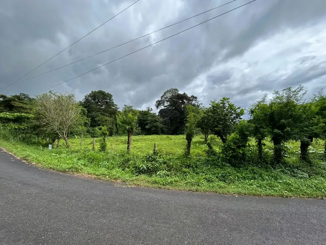 Land for sale at Sarapiquí, Heredia
