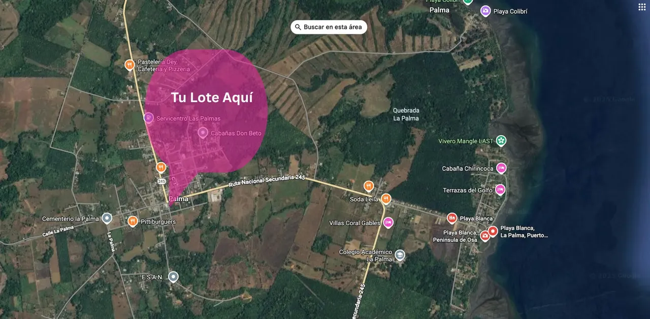 Land for Sale in La Palma, Puerto Jiménez – Osa Peninsula