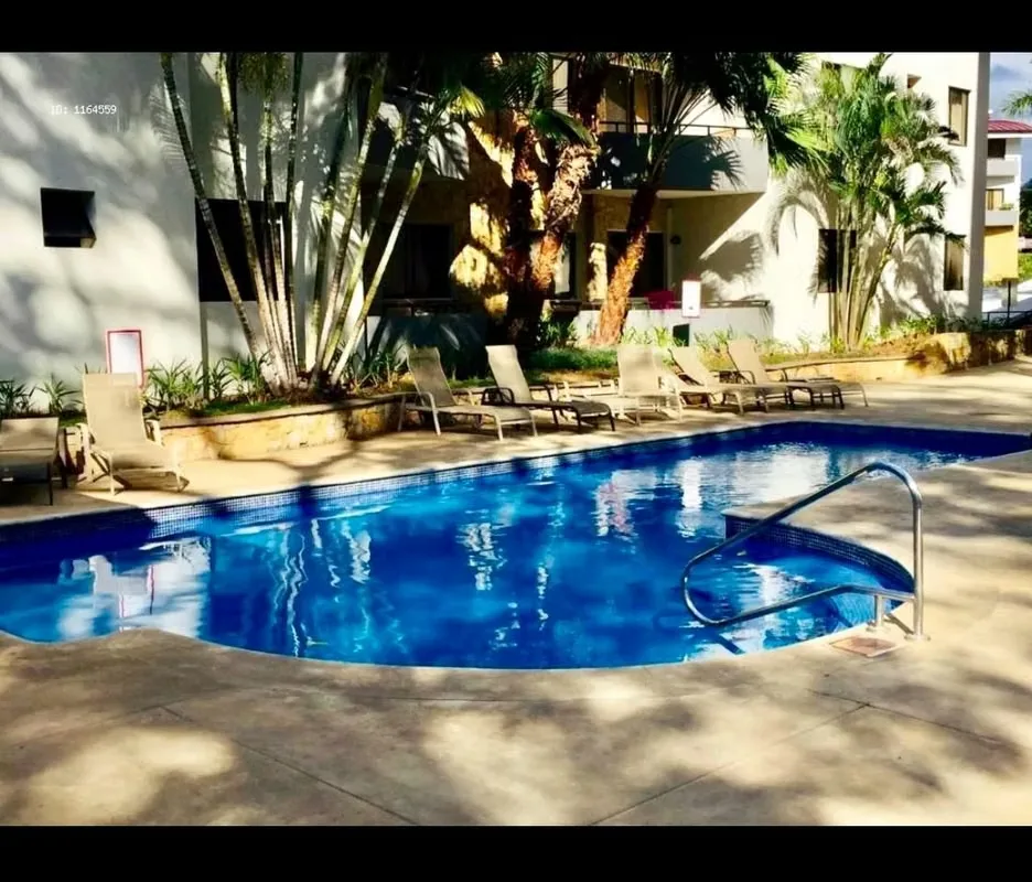 Furnished 1-bedroom apartment for rent. Santa Ana Centro. Available July 3rd. — photo 2
