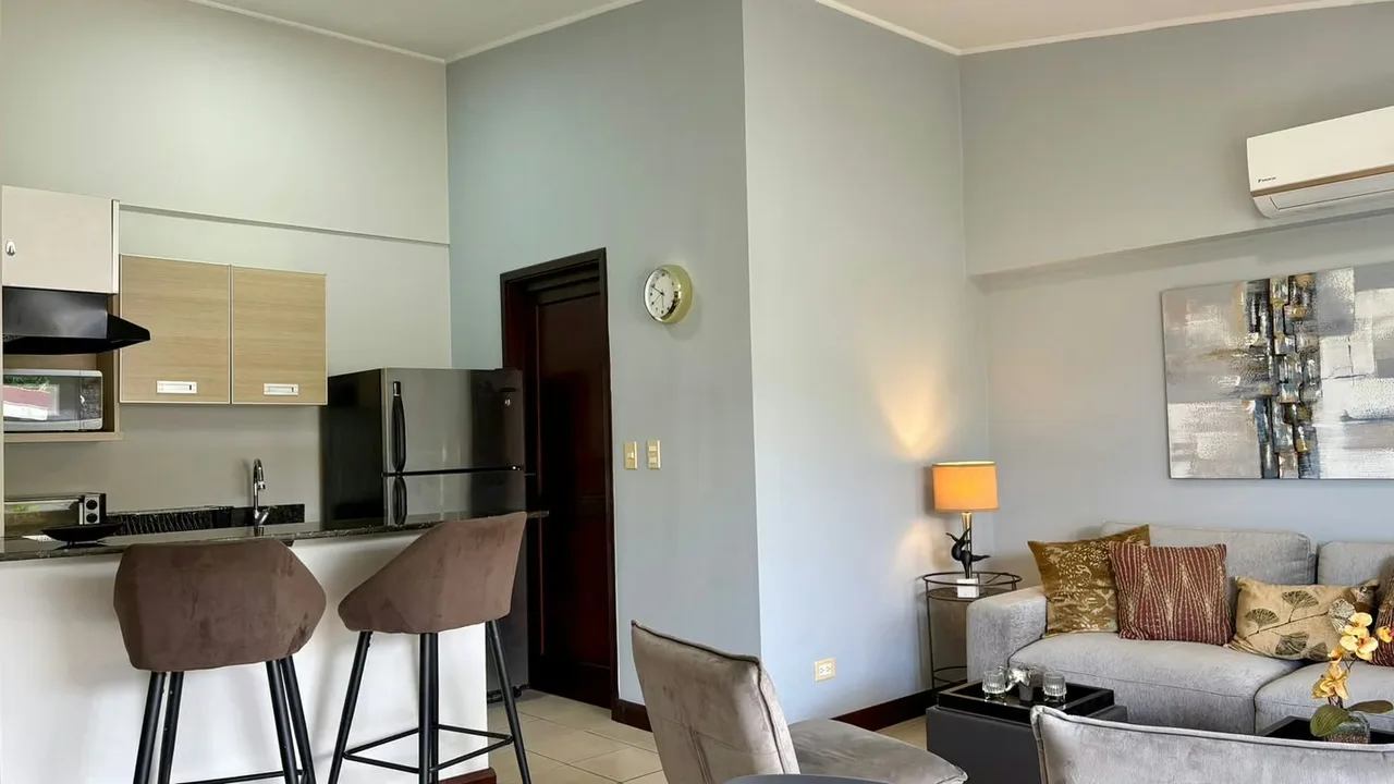 Furnished 1-bedroom apartment for rent. Santa Ana Centro. Available July 3rd. — photo 4