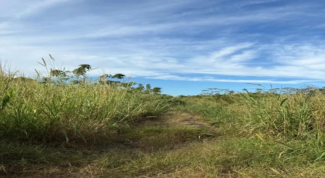 FOR SALE Property in Tambor, Alajuela, Costa Rica