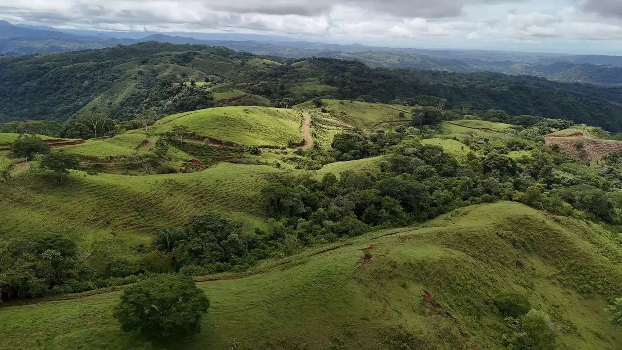 550 hectáreas en La Pavona, Turrubares, en el corazón del Pacífico Central, con una vista 360° al mar y la montaña que simplemente ...