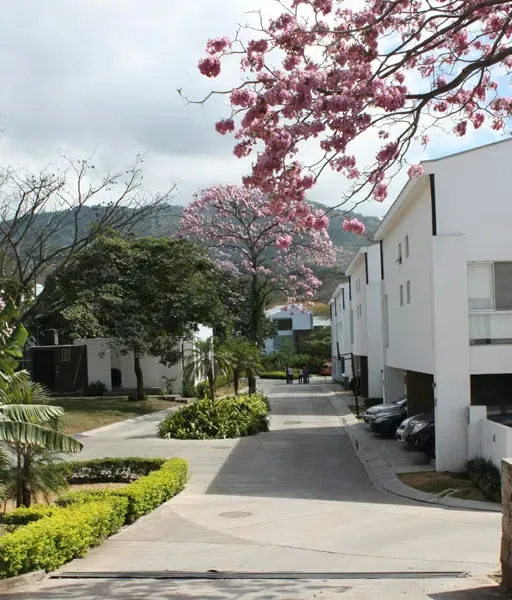 Disfrute de un exclusivo estilo de vida en este hermoso apartamento de una habitación y baño y medio, ubicado en un prestigioso ...