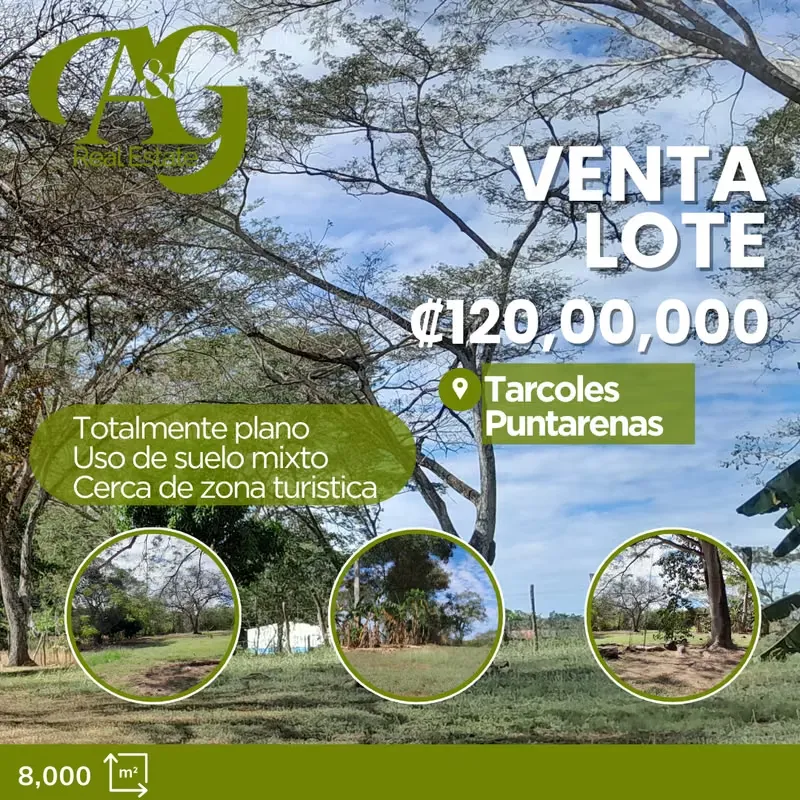 Venta Terreno Tarcoles Puntarenas VPG119