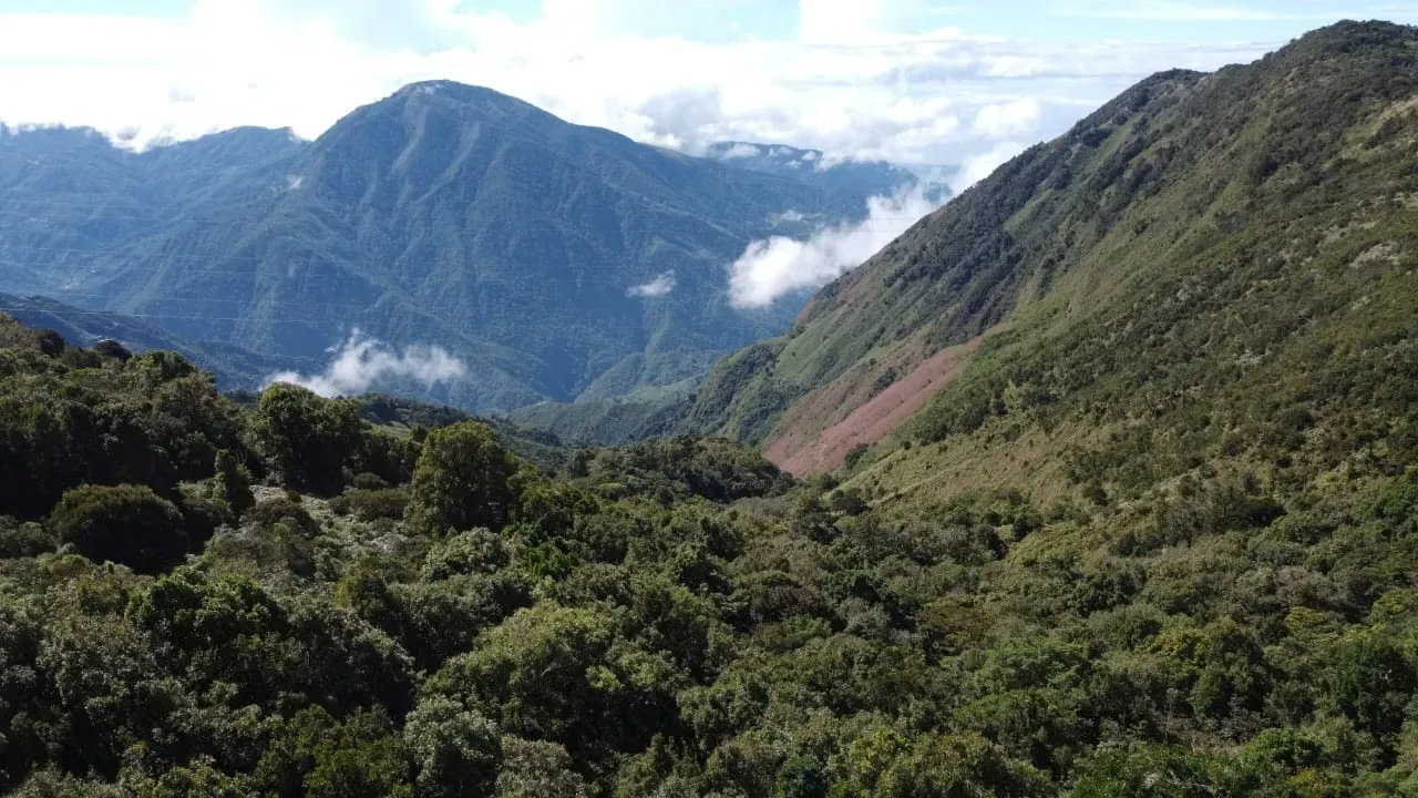 118-Hectare Mountain Estate with Development Potential and Protected Forest