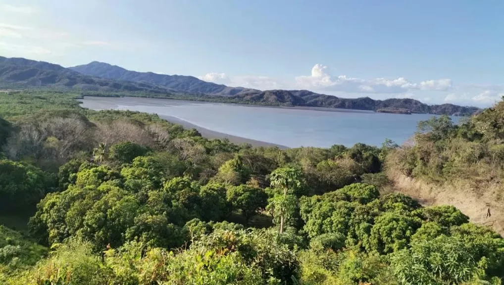 Con una vista hermosa al Golfo de Nicoya, le ofrecemos estas propiedades para desarrollar el proyecto de playa ideal a ...