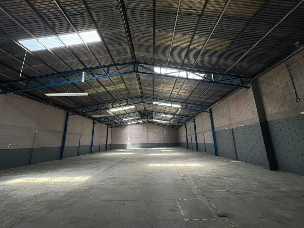 Industrial Warehouse for Rent in Tibás — photo 5