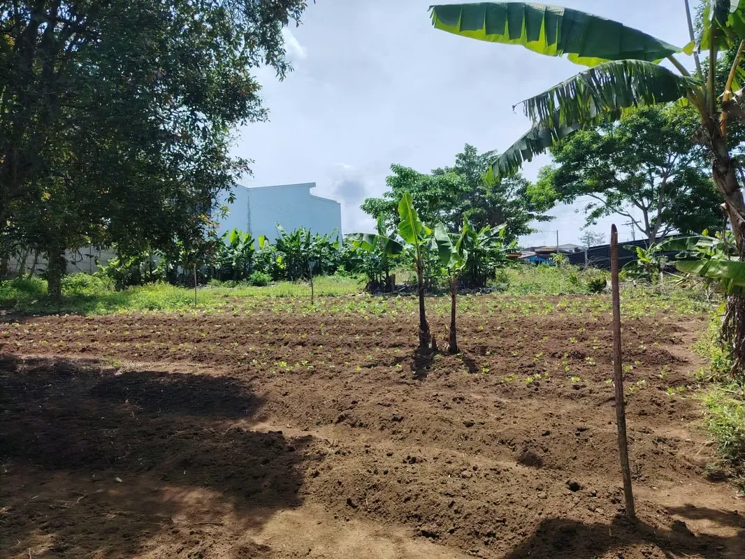 MA Asesoría vende hermoso terreno en Concepción de San Rafael, Heredia.