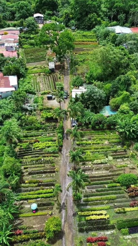 Excelente oportunidad de inversión ubicada sobre carretera hacia La Garita, en Barrio San José de Alajuela.