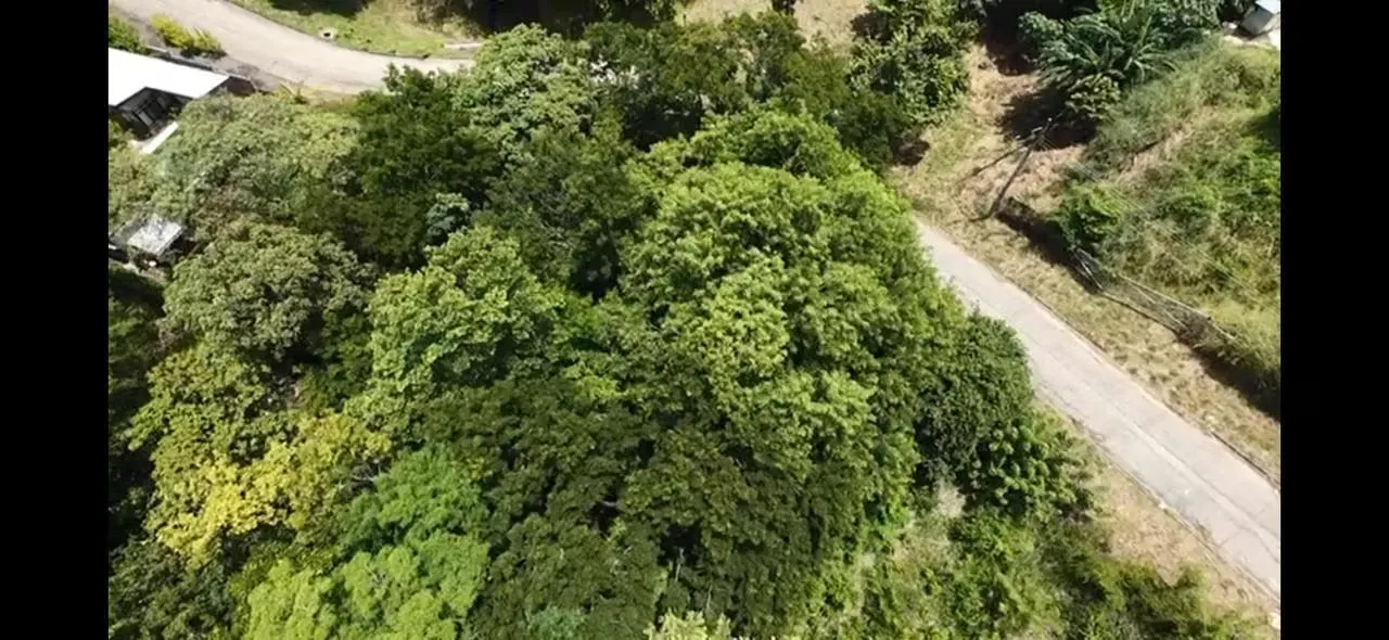 Venta de Lote en  Santa Cruz-Tamarindo, Guanacaste. 26-341  LCV