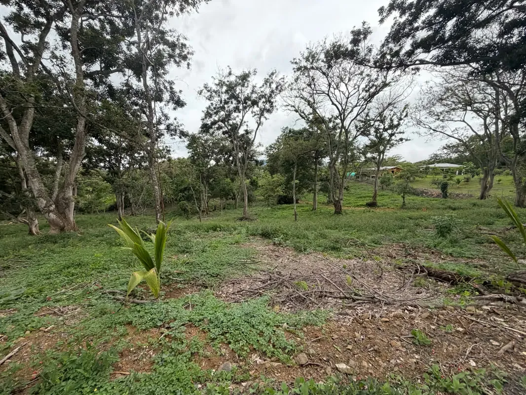 Se venden dos lotes contiguos en Atenas, en un entorno tipo parque, ubicados en Atenas.
