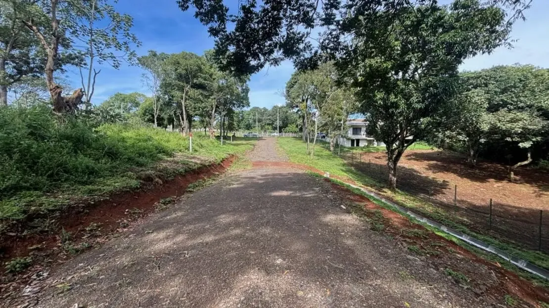 ¡Nuevo en el mercado! Lotes muy exclusivos en una comunidad privada en el campo de Atenas.