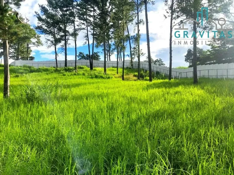 Land for sale in Pavas (3700 m2) ID 1678