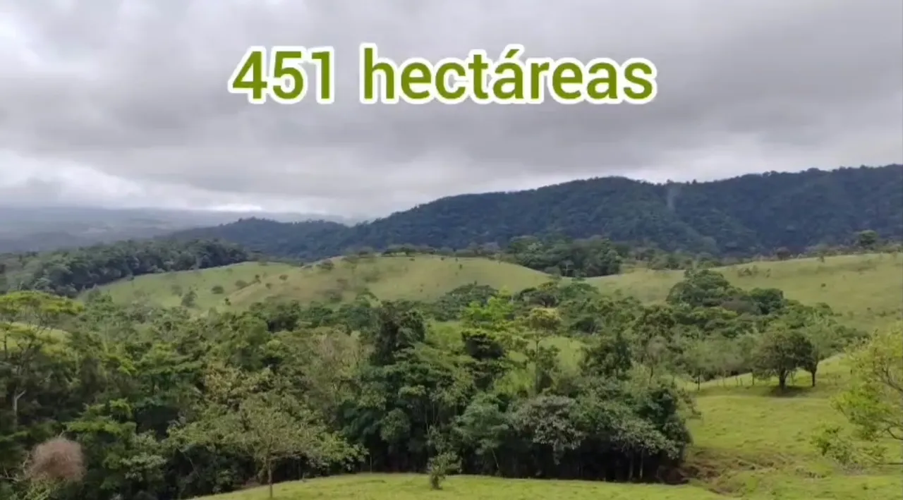 Venta de Propiedad entre San Ramón y San Carlos, Alajuela