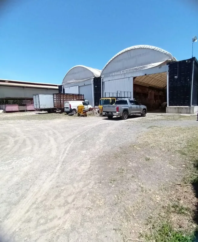 ALQUILER PROPIEDAD CON 2 BODEGAS EN LA LIMA DE CARTAGO — photo 4