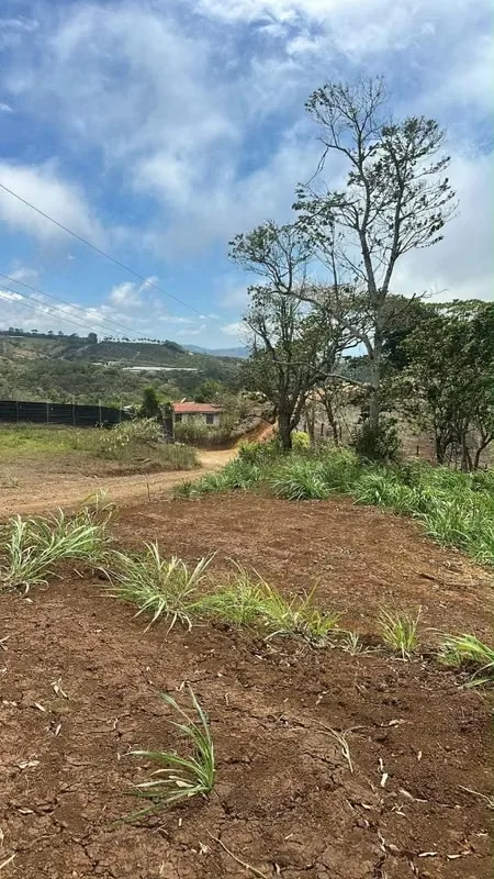 Vendo 7,000 metros en Naranjo ,cerca de caizal