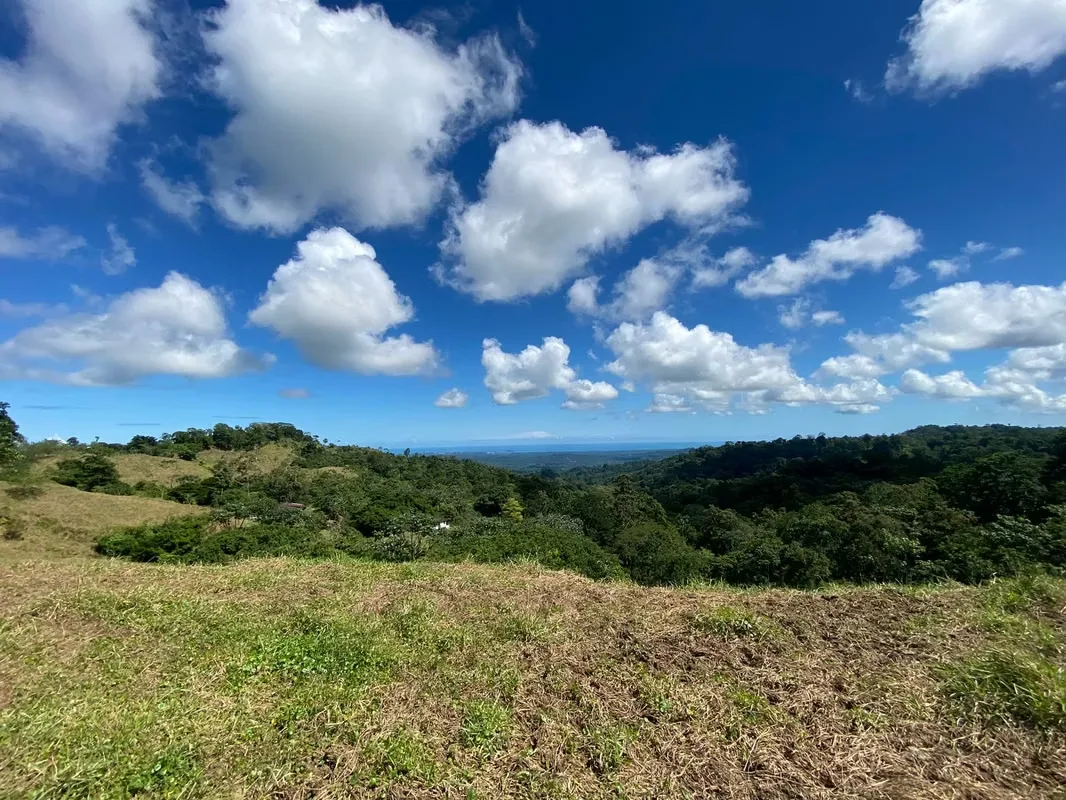 Finca en venta, oportunidad de Inversión en Limón, Costa Rica