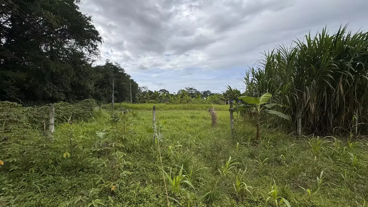 Residential Lot for Sale in Río Frío, Sarapiquí (AD) — photo 2