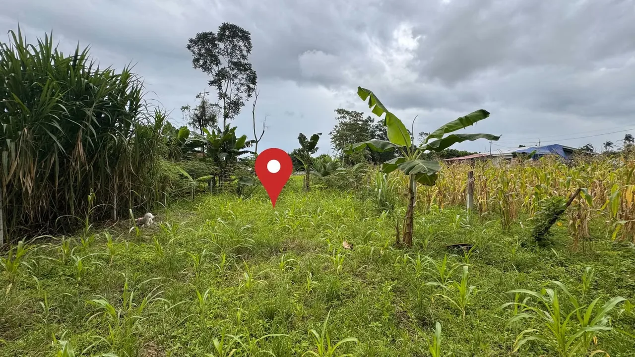 Residential Lot for Sale in Río Frío, Sarapiquí (AD) — photo 4