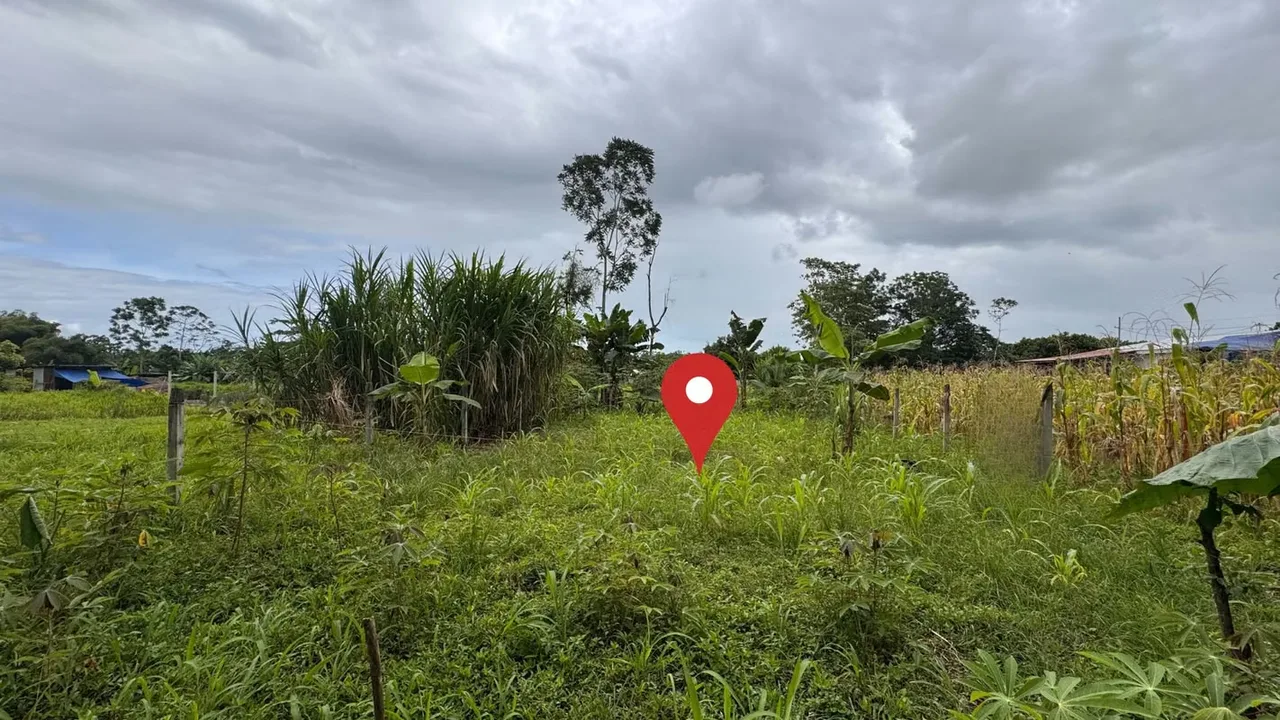 Residential Lot for Sale in Río Frío, Sarapiquí (AD) — photo 5