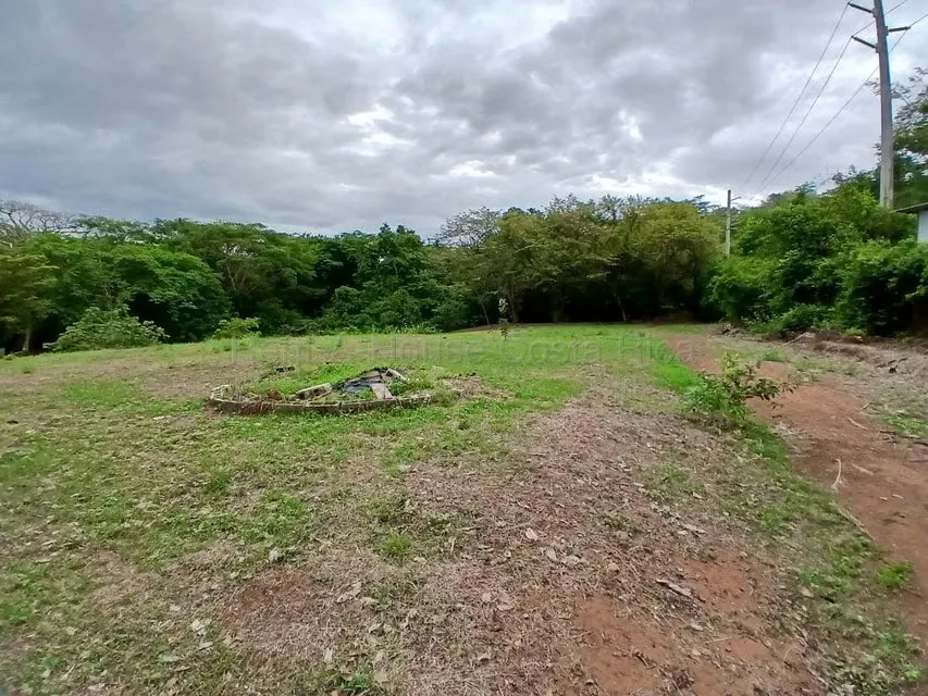 Lot for sale in Santa Cruz - April 27th.