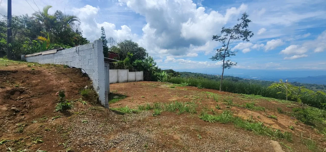 Beautiful lot located in Cañuela de Naranjo, a privileged area known for its cool climate, rural surroundings, and spectacular panoramic views. With a size of 1,305 m² (14,047 ft²), ... — photo 3