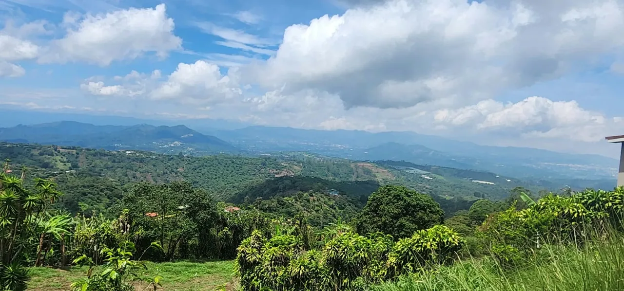 Beautiful lot located in Cañuela de Naranjo, a privileged area known for its cool climate, rural surroundings, and spectacular panoramic views. With a size of 1,305 m² (14,047 ft²), ... — photo 4