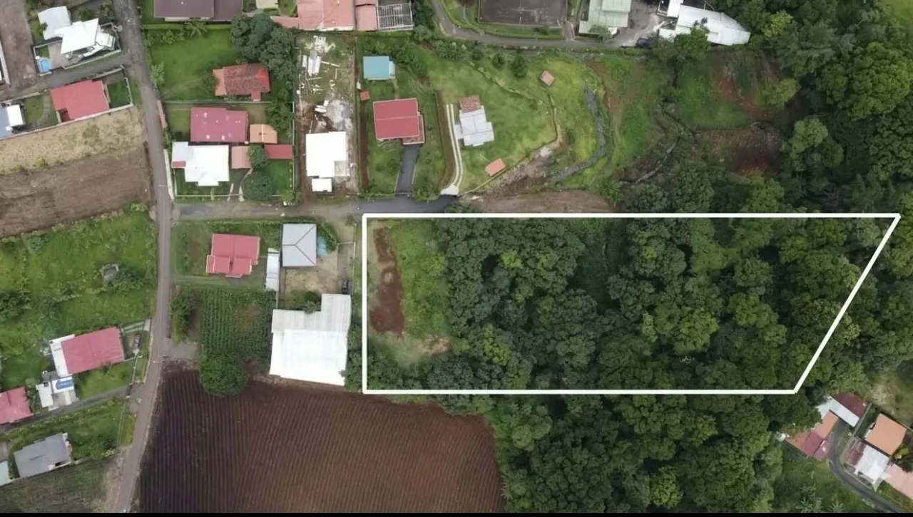 Si busca tranquilidad, espacio y naturaleza, este lote en Santa Eulalia, Atenas, es el lugar ...
