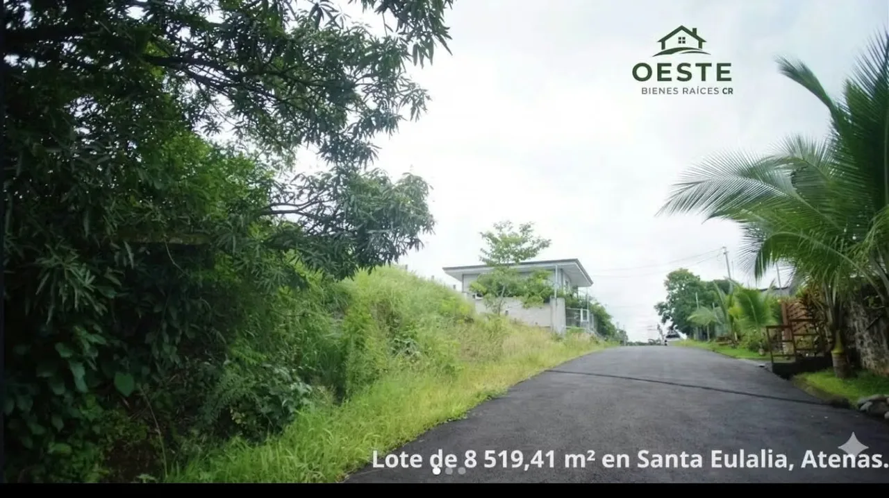 Si busca tranquilidad, espacio y naturaleza, este lote en Santa Eulalia, Atenas, es el lugar ... — photo 4
